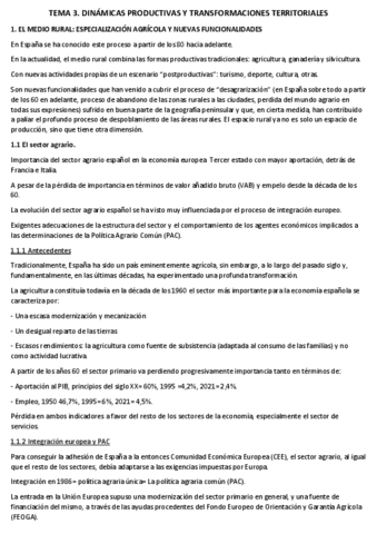 Tema-3-Espana.pdf