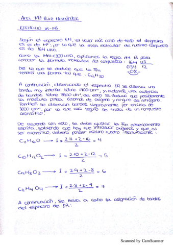 RUIZ_HERNANDEZ_ANAMARIA.pdf