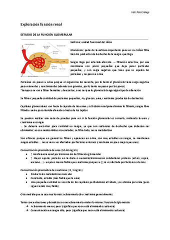 PATOLOGIA-RENAL.pdf