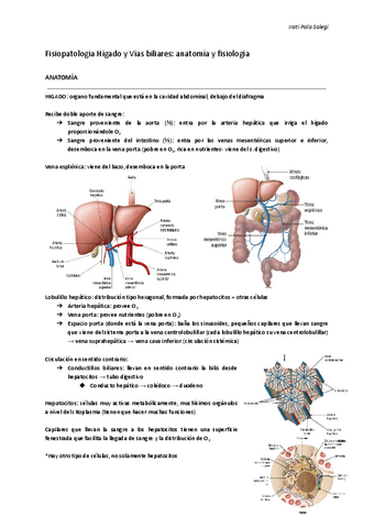 HEPATICO.pdf