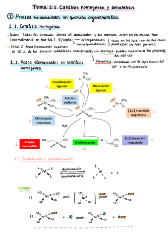 Tema-2.-Catalisis-y-Quimica-Sostenible.pdf
