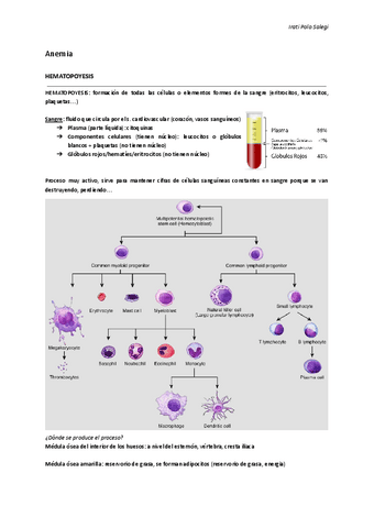 FISIOPATOLOGIA-SISTEMA-HEMATOPOYETICO.pdf