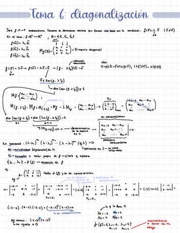 Met-II-Tema-6-diagonalizacion.pdf
