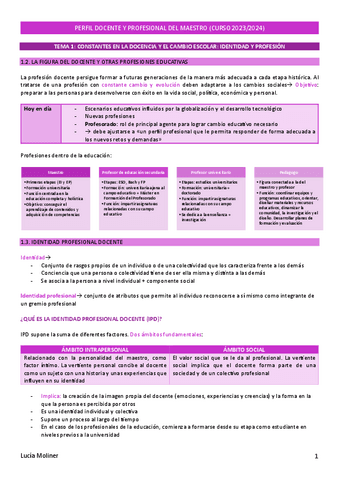 Resumen-Perfil-docente-LM.pdf