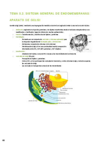 TEMA-8.2.-SISTEMA-GENERAL-DE-ENDOMEMBRANAS-APARATO-DE-GOLGI.pdf