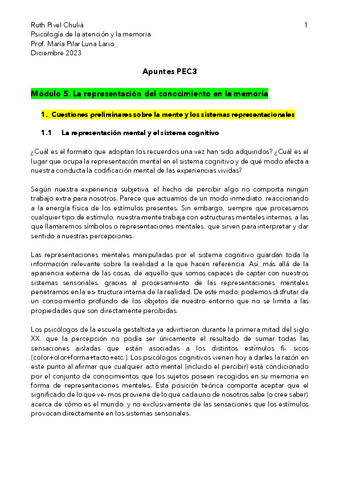 Apuntes-PEC3.-Memoria.pdf