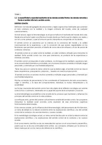 tema 1 misaes.pdf