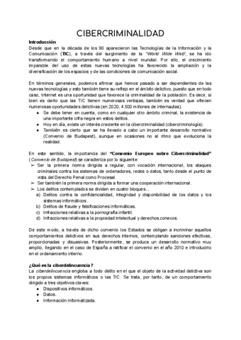 Tema-12-Cibercriminalidad.pdf