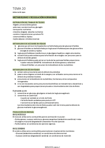 TEMA-20.pdf