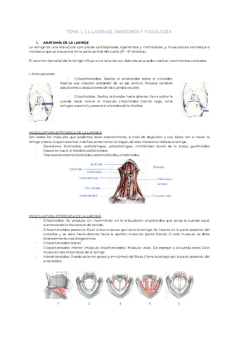 Tema-1.-La-laringe-anatomia-y-fisiologia.pdf