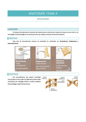 ANATOMIA-TEMA-4-articulaciones.pdf