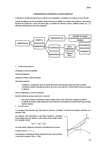 07-Maximizacion-de-la-oferta-competitiva.pdf