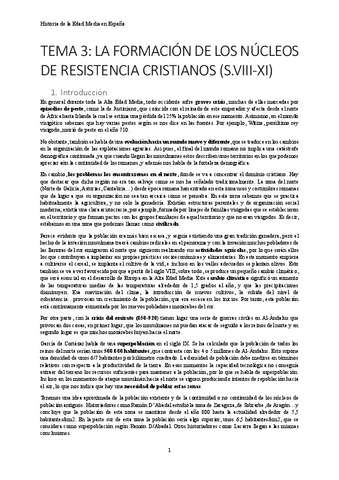 TEMA-3-NUCLEOS-DE-RESISTENCIA-CRISTIANOS.pdf