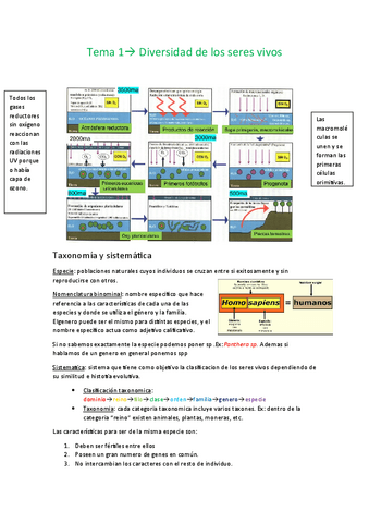 Tema-1-diversidad-de-los-seres-vivos.pdf