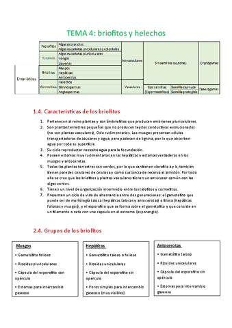 Tema-4-briofitos-y-helechos.pdf