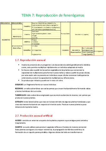 Tema-7-reproduccion-de-fenerogamas.pdf