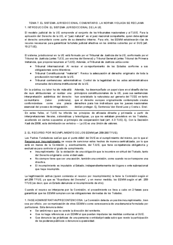 TEMA-7.-EL-SISTEMA-JURISDICCIONAL-COMUNITARIO.-LA-NORMA-VIOLADA-SE-RECLAMA.pdf