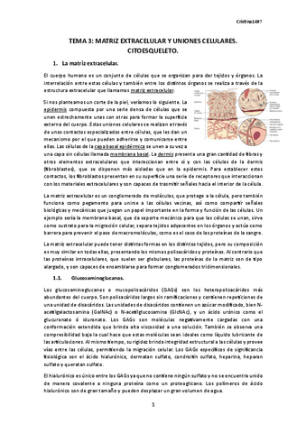 TEMA-3.-BIOLOGIA.pdf
