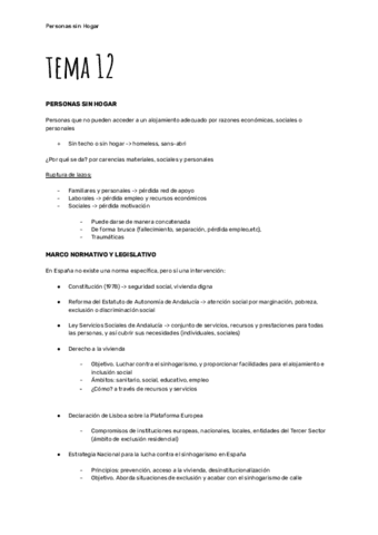 TEMA-12.pdf