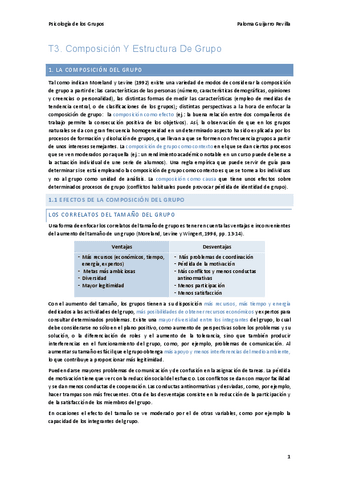 T3.-Composicion-Y-Estructura-De-Grupo.pdf