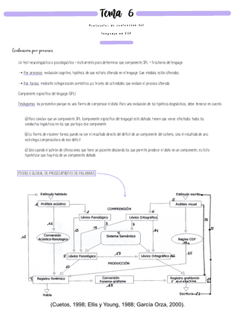 TEMAS-6-9-IDCA.pdf