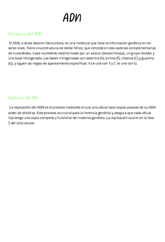 ADN.pdf