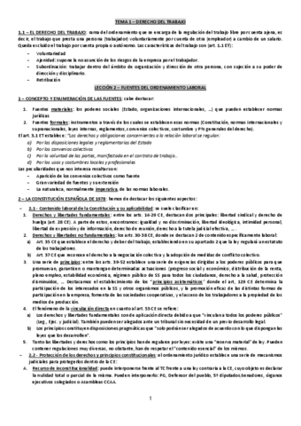 DERECHO-DEL-TRABAJO-APUNTES-COMPLETOS.pdf