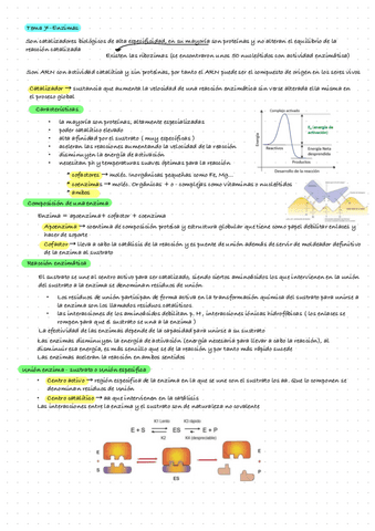 Bioquimica-Tema-7.-Enzimas.pdf