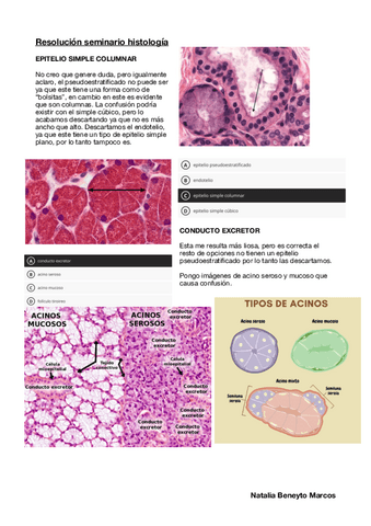 Resolucion-Seminario-Histologia.pdf