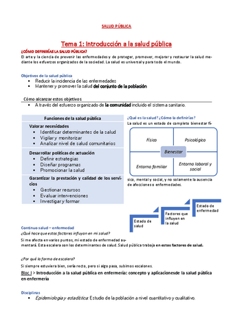 Salud-publica.pdf