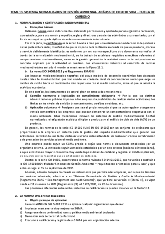 TEMA-13.pdf