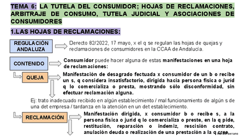 ESQUEMA-DESARROLLADO-TEMA-6-CONSUMIDORES-Y-USUARIOS.pdf
