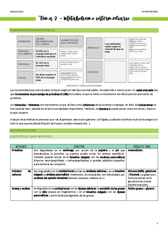 Tema-8-Metabolismo.pdf
