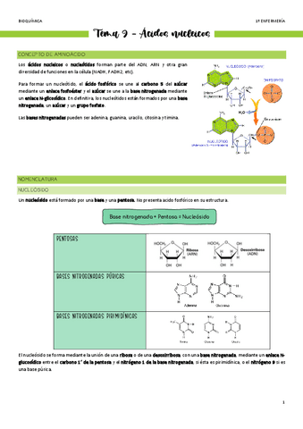 Tema-9-Acidos-nucleicos.pdf