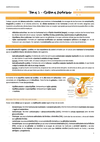 Tema-5-Sistema-Endocrino.pdf