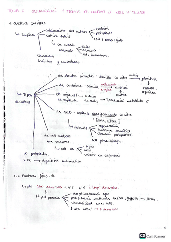 Biotec-vegetal-T2.pdf