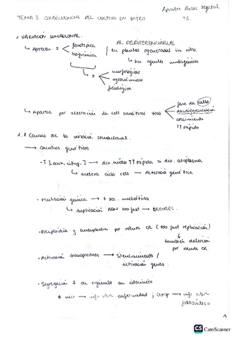 Biotec-vegetal-T3.pdf