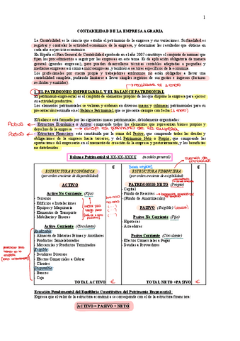 teoria-contabilidad.pdf
