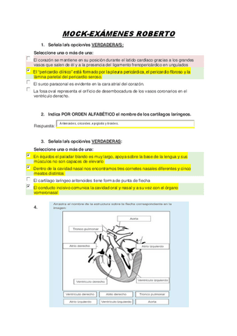 recopilacion-examenes-Anato-II.pdf