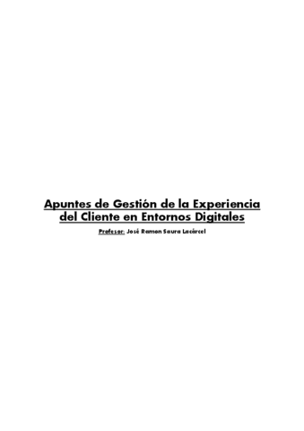 Apuntes-optativa-gestion-de-la-experiencia-del-cliente-digital.pdf