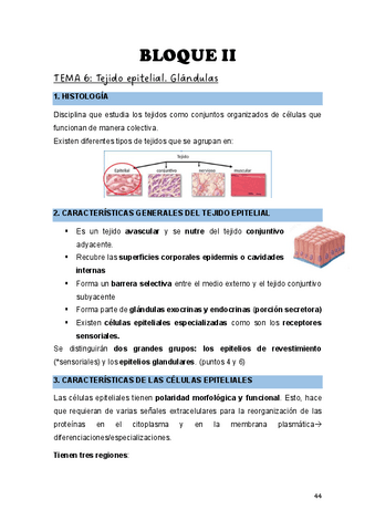 Teoria-Biologia-Bloque-Histologia.pdf