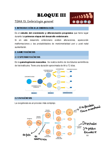 Teoria-Biologia-Bloque-Embriologia.pdf