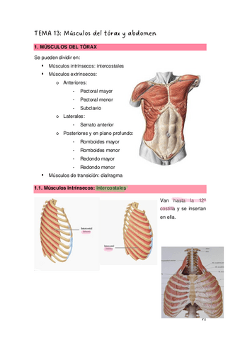 TEMAS-131415-Y-16.-Curso-20232024.pdf