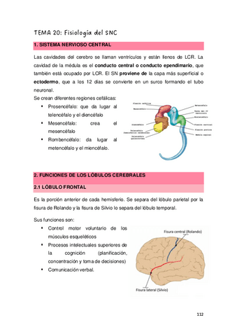 TEMAS-20-Y-21.-Curso-20232024.pdf