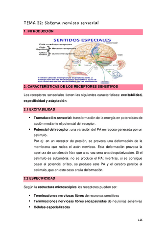 TEMAS-22-23-24-25-Y-26.-Curso-20232024.pdf