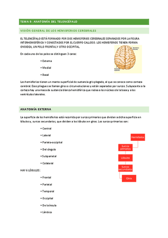 ANATOMIA-TEMA-9-TEMA-9.pdf