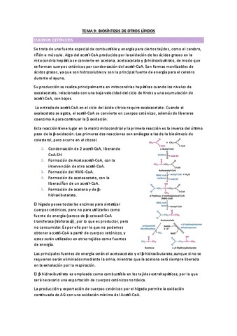 TEMA-9-BIOQUIMICA.pdf