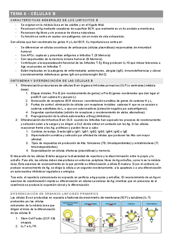 TEMA-6-CELULAS-B.pdf