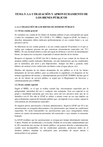 TEMA 5.pdf