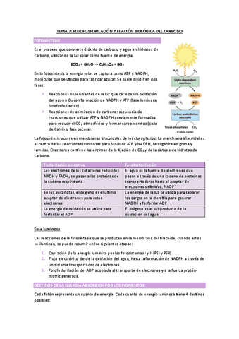 TEMA-7-BIOIQUIMICA.pdf